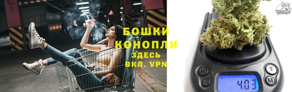 прущие грибы Алексеевка