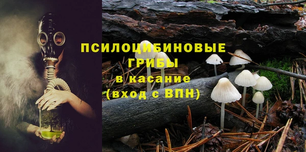 a pvp Алексин