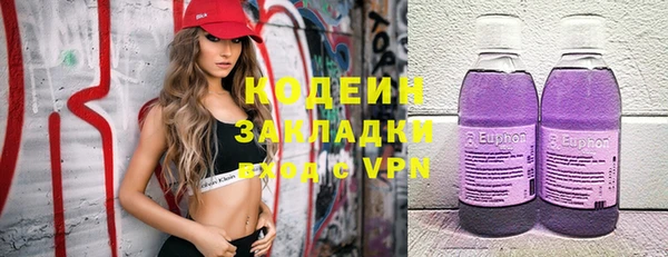 прущие грибы Алексеевка