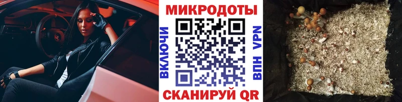 цена наркотик Пушкино Псилоцибиновые грибы Psilocybine cubensis